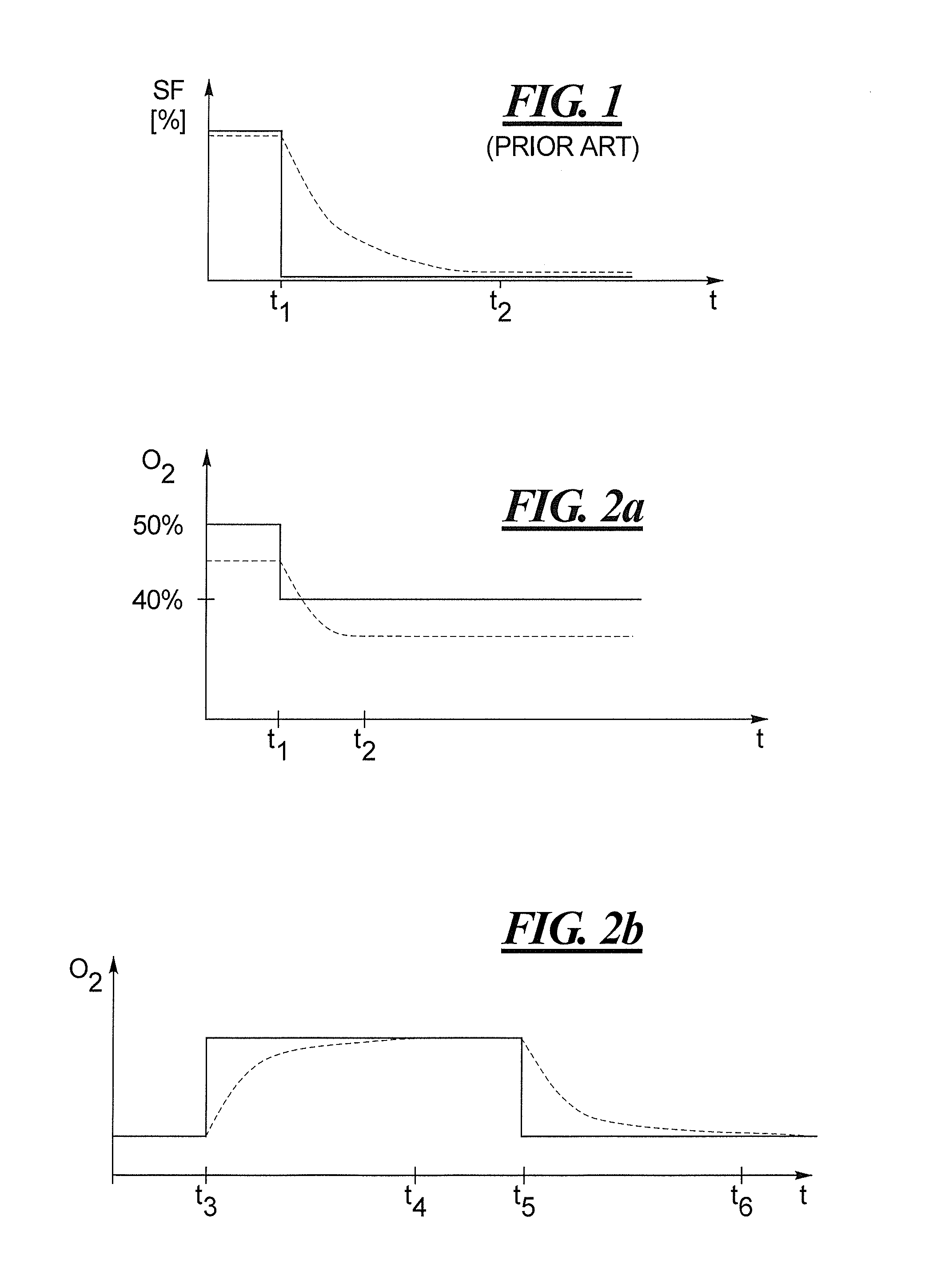 Method and apparatus for lung volume estimation