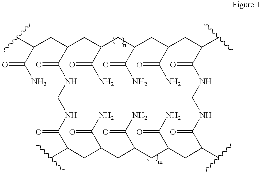 Polyacrylamide hydrogel as a soft tissue filler endoprosthesis