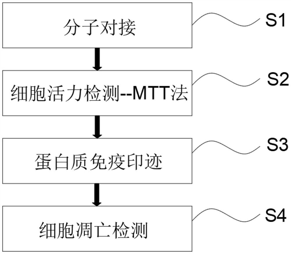 Experimental method for screening FASN inhibitor in peony seed meal monomeric compound based on computer simulation