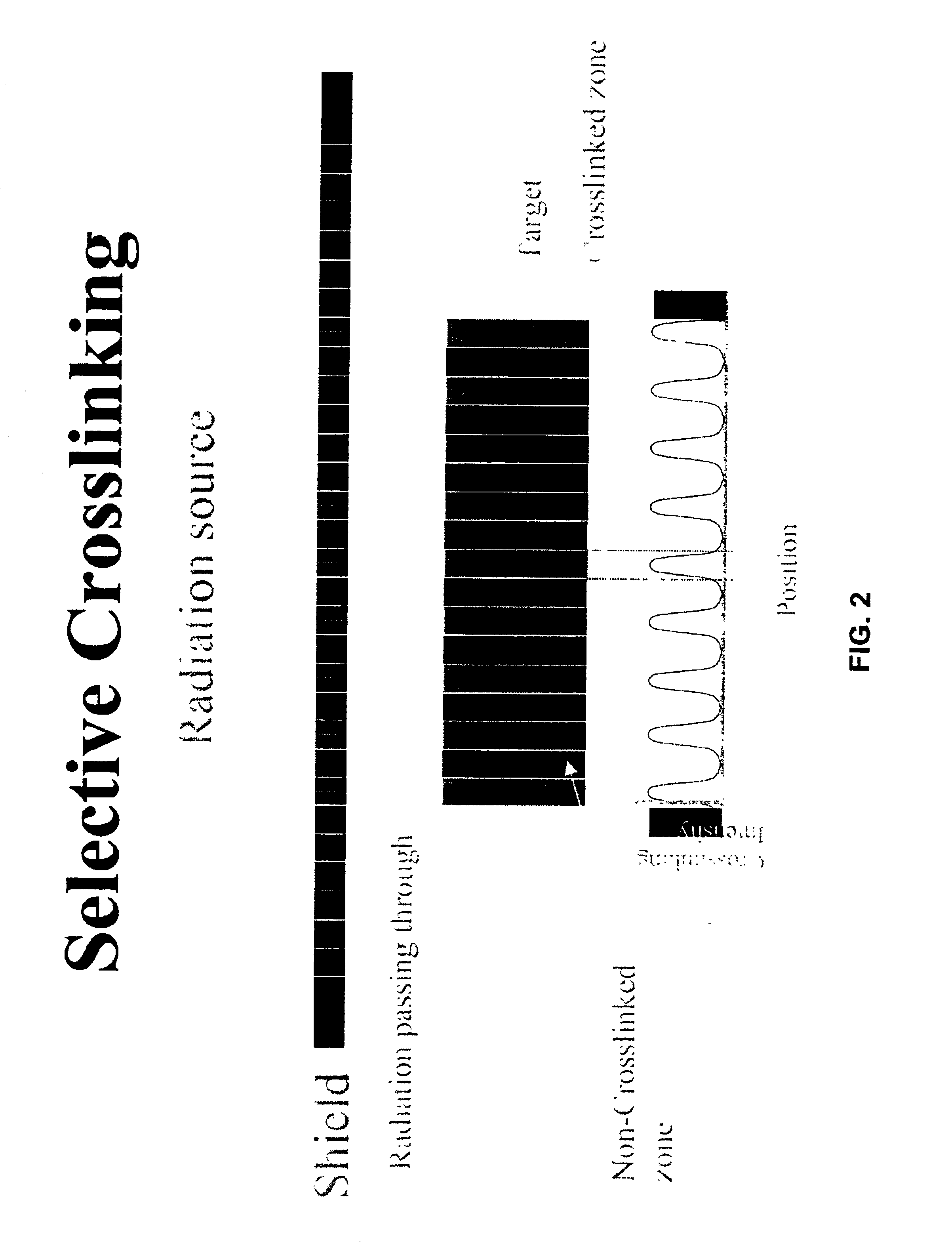 Methods for preparing selectively cross-linked polyethylene orthopedic devices