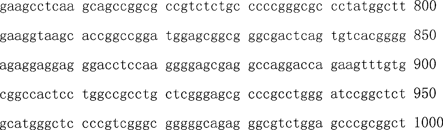 Nucleic acid sequence related with risperidone clinical curative effect