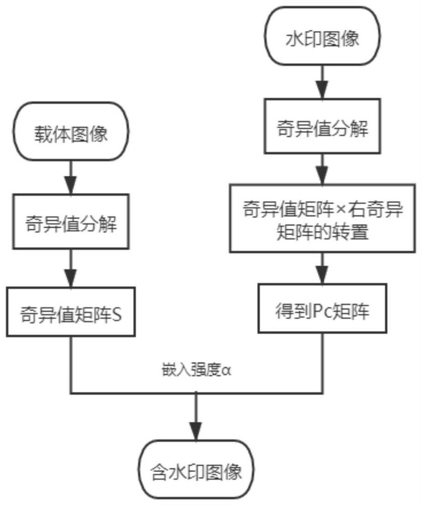 Digital watermarking algorithm for solving false positive problem