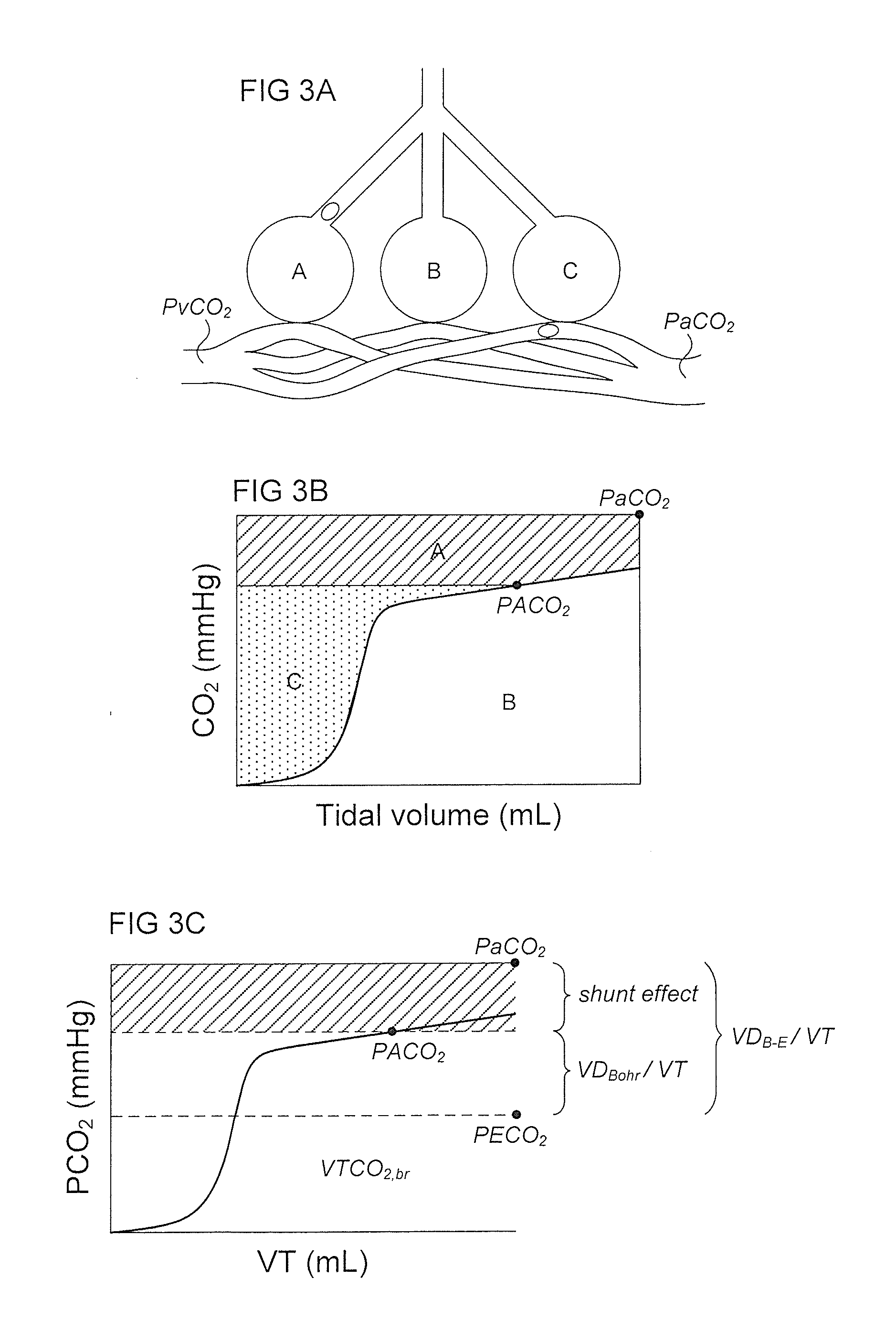 Method and apparatus for estimating shunt