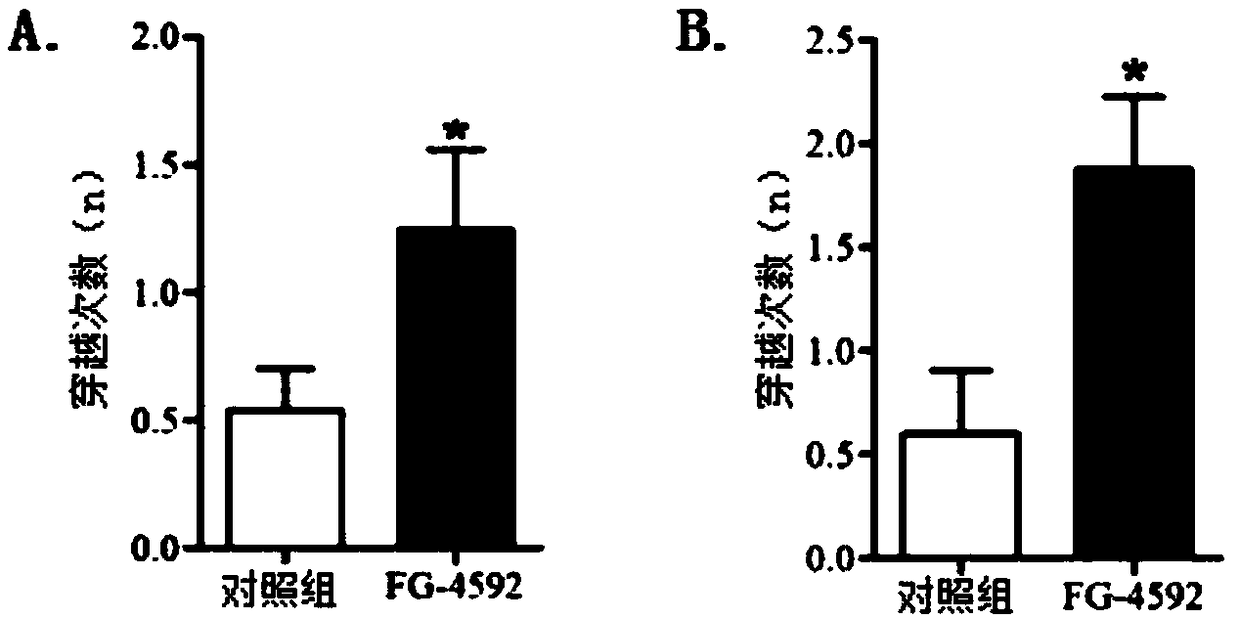 New application of FG-4592 or salt thereof as well as medicine product and health-care product