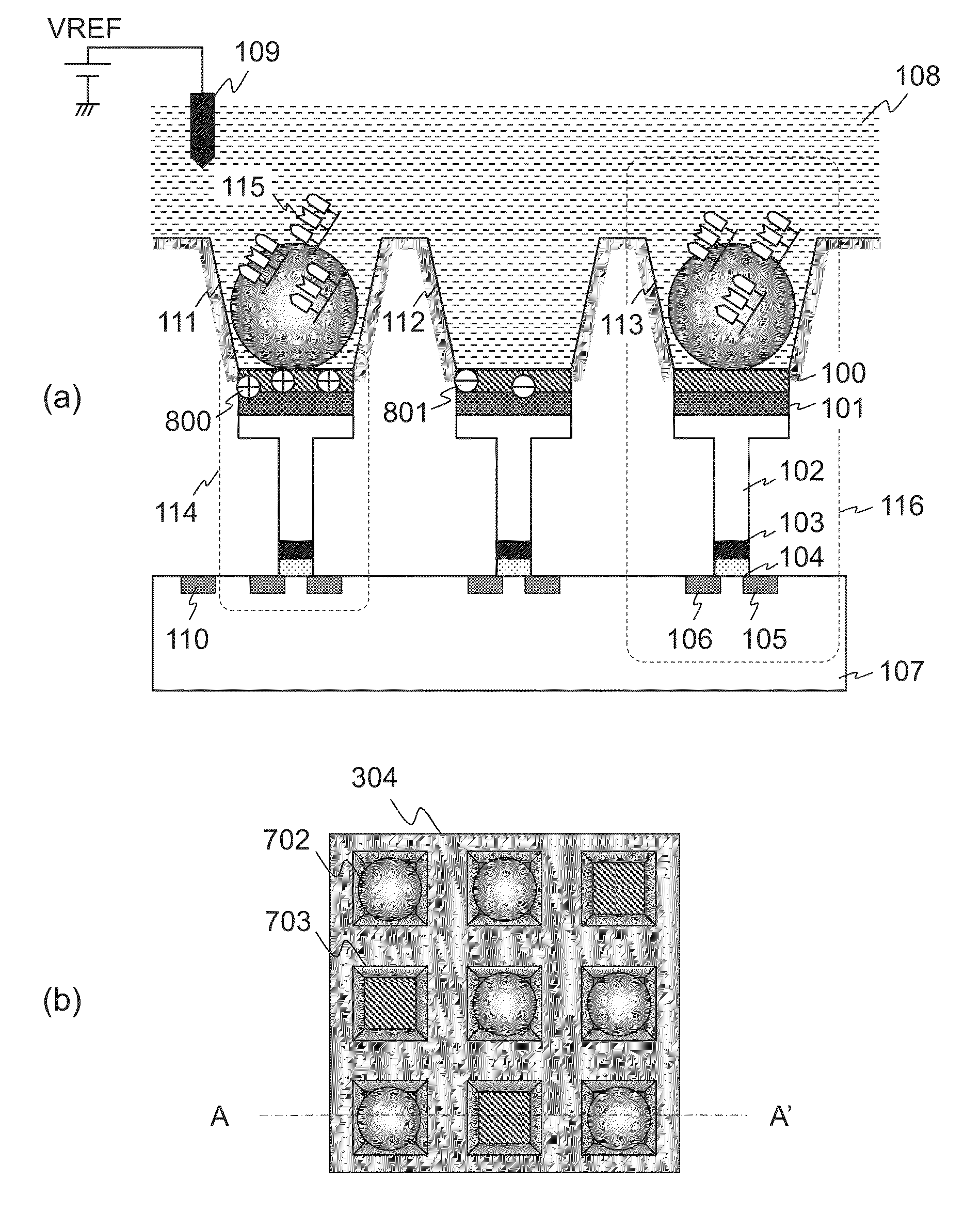 Biomolecule measuring device