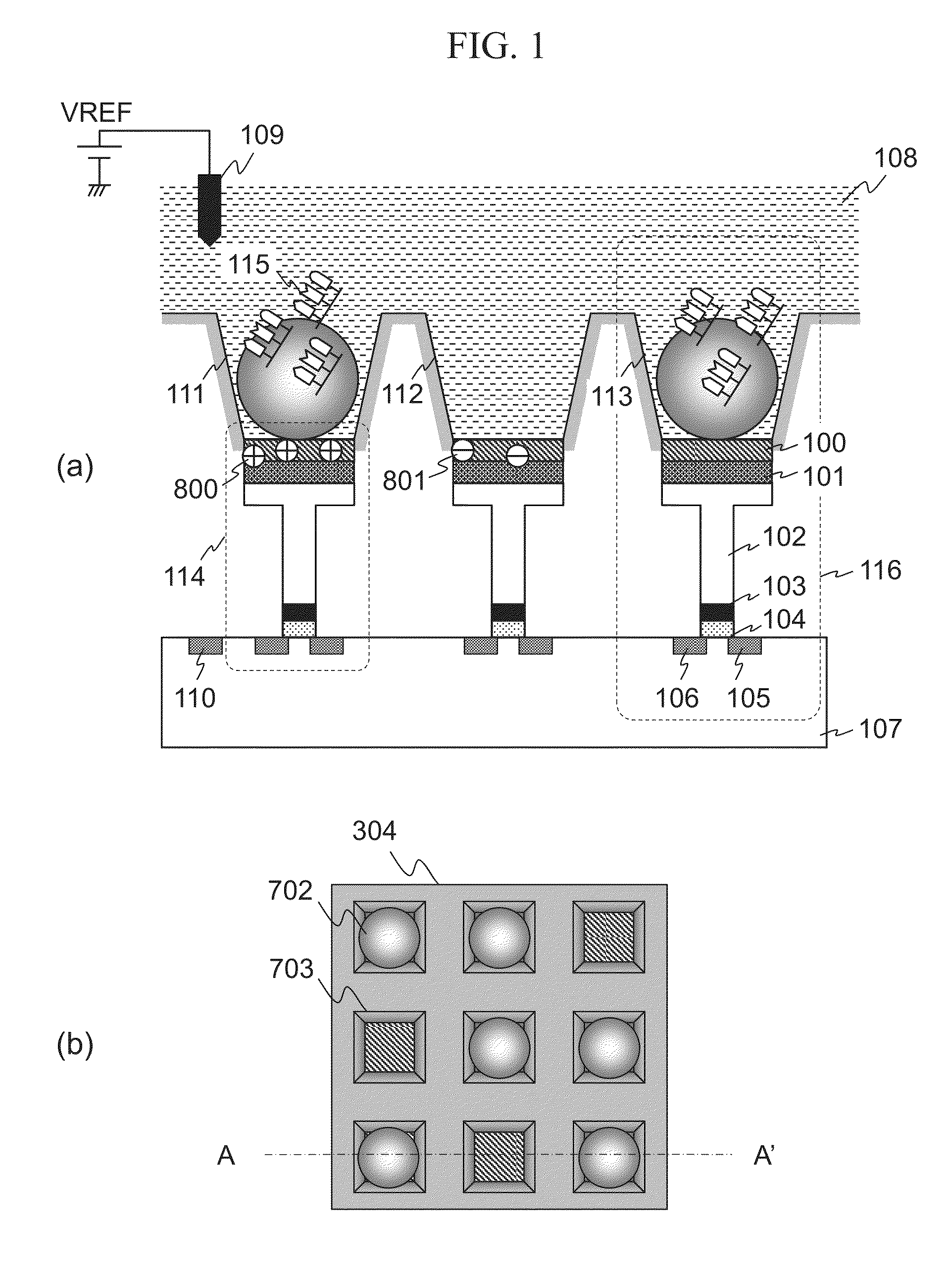 Biomolecule measuring device