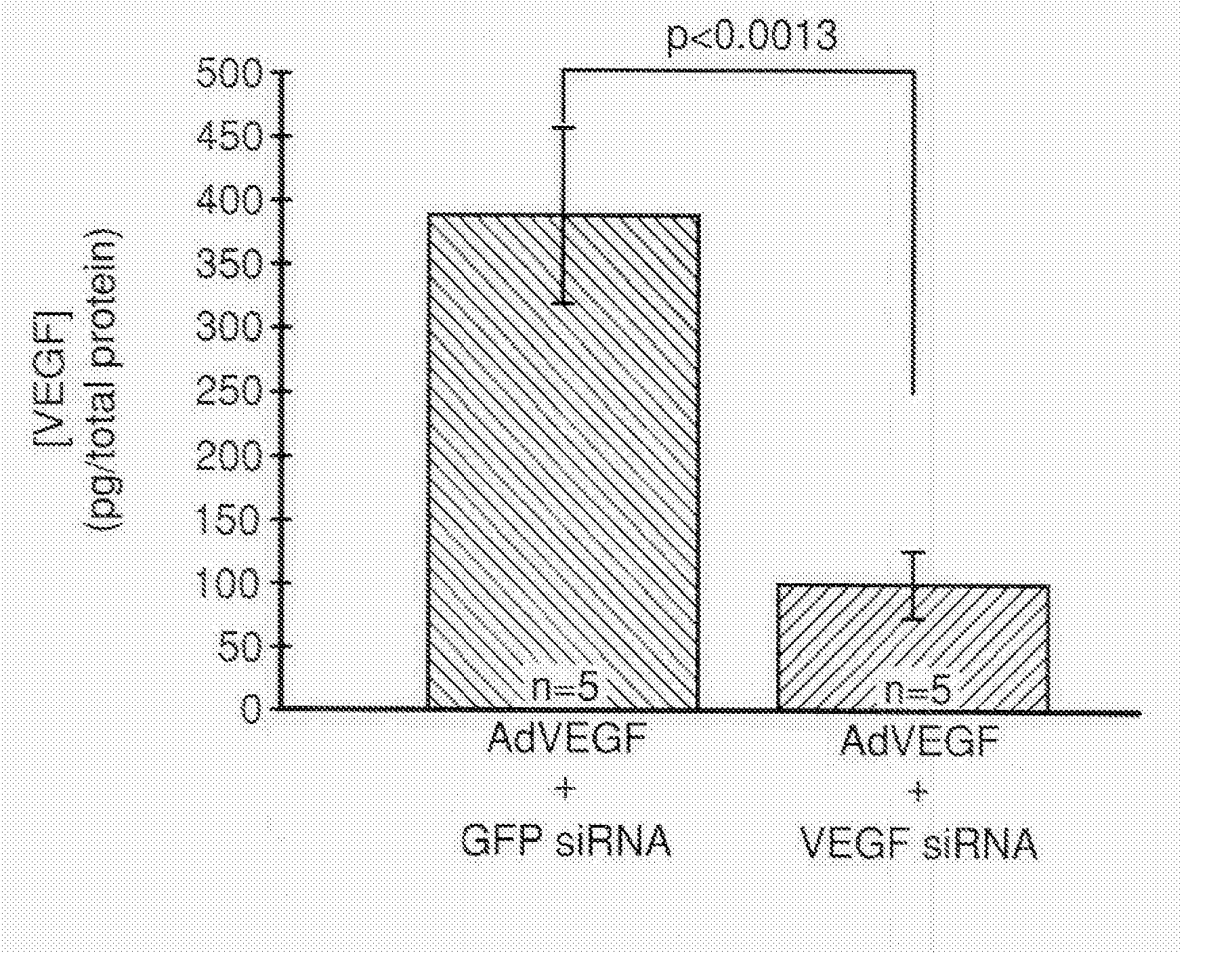 COMPOSITIONS AND METHODS FOR siRNA INHIBITION OF ANGIOGENESIS