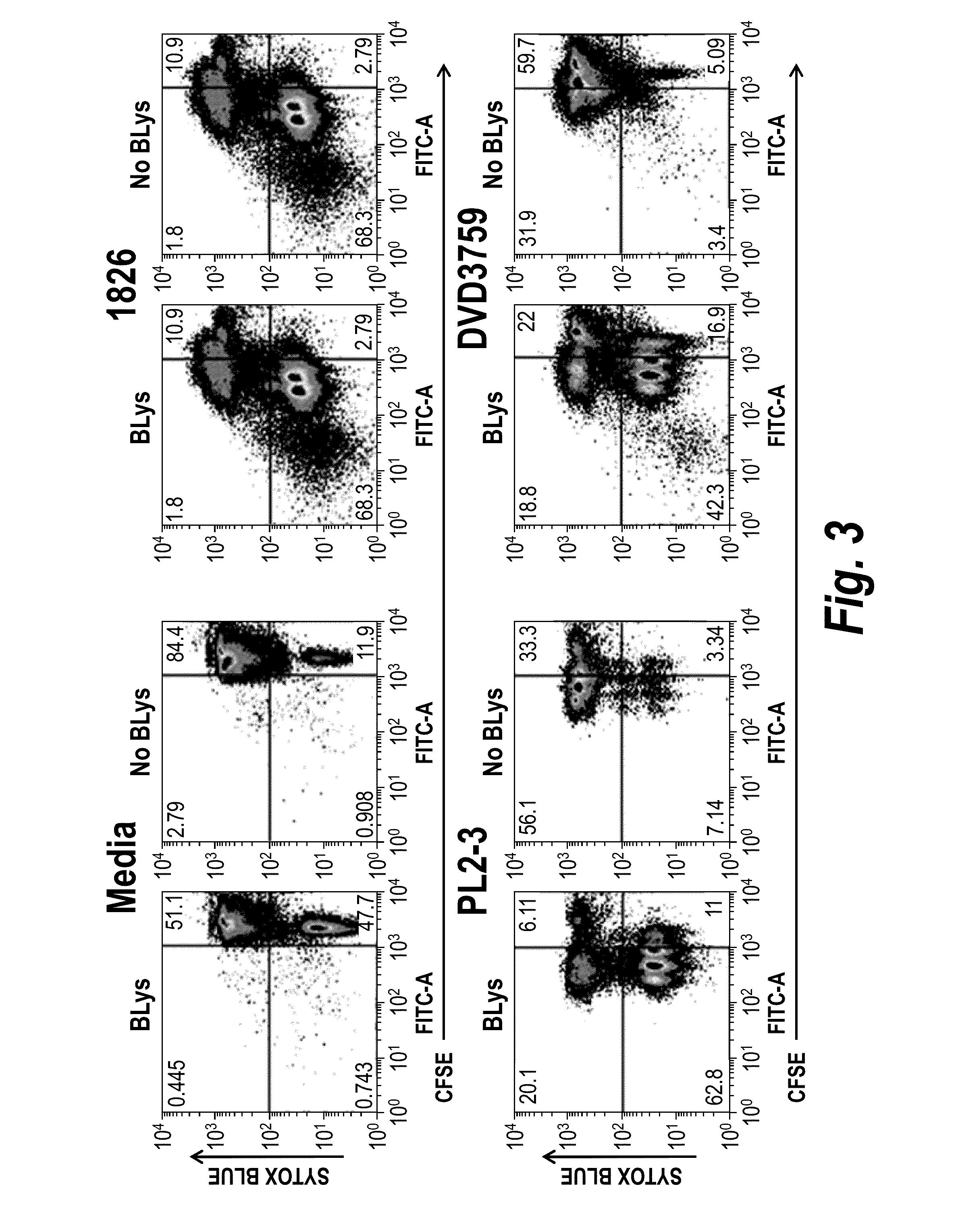 Dual specific binding proteins directed against immune cell receptors and autoantigens