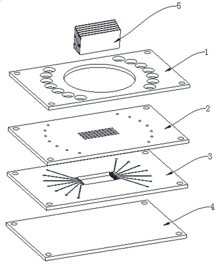 Baffle slot type multilayer organ chip and method