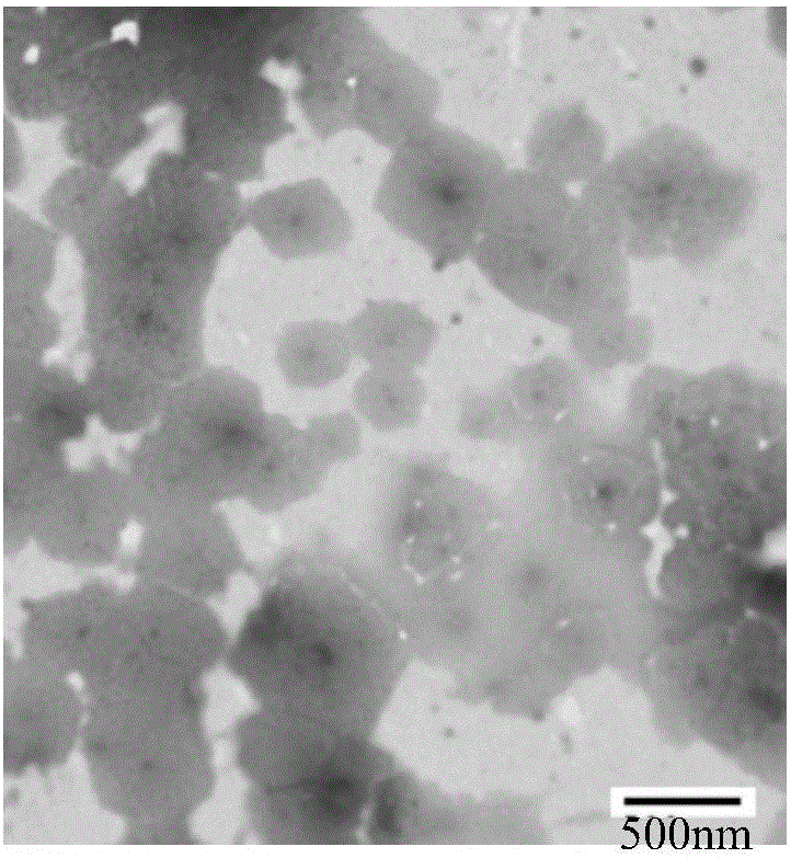 Method for separating extracellular microcapsules from cells, tissue culture supernatant or body fluid, specialized separating reagent, kit and application