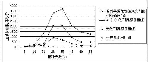 Puer tea immune adjuvant and application thereof in influenza vaccines