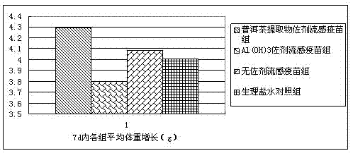 Puer tea immune adjuvant and application thereof in influenza vaccines