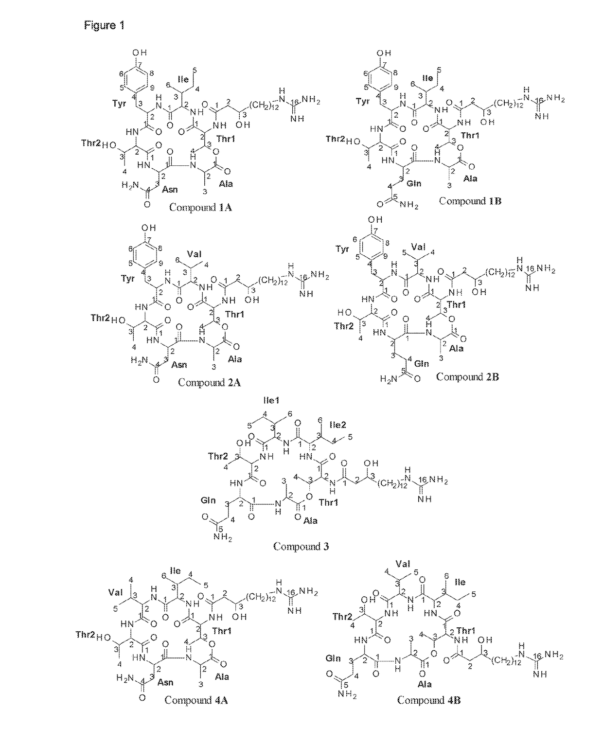 Antifungal paenibacillus strains, fusaricidin-type compounds, and their use