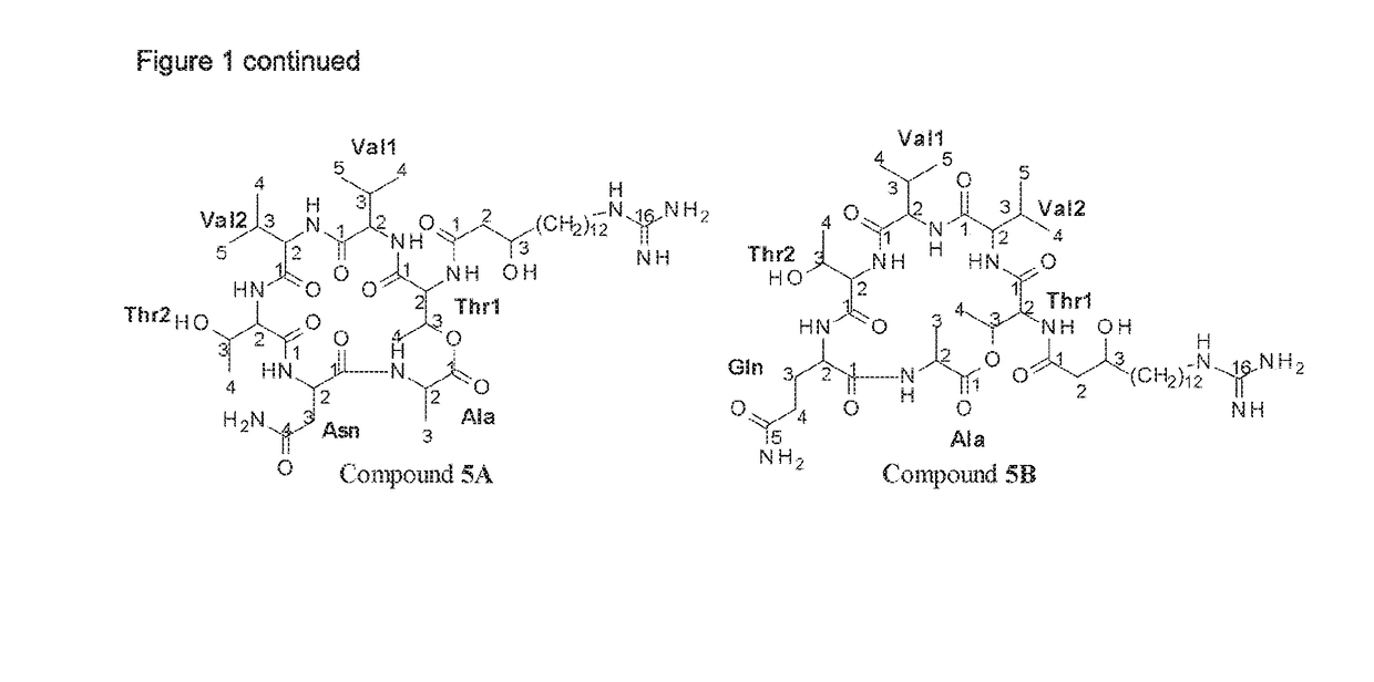 Antifungal paenibacillus strains, fusaricidin-type compounds, and their use