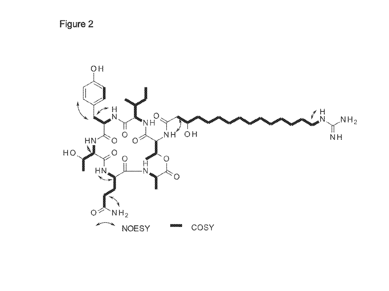 Antifungal paenibacillus strains, fusaricidin-type compounds, and their use