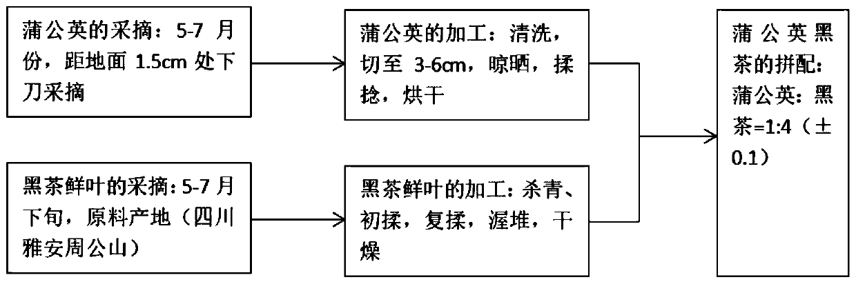 Dandelion dark tea and preparation method thereof