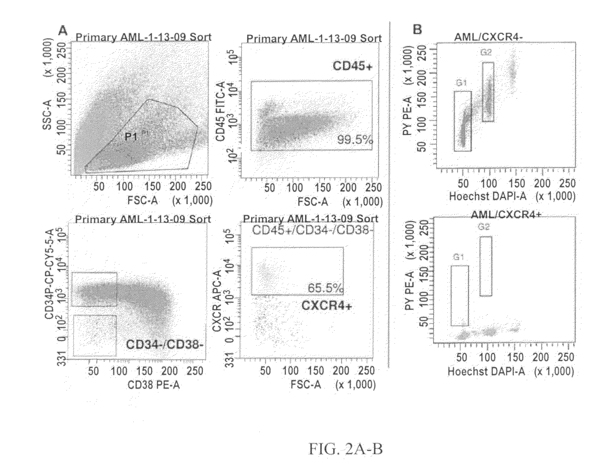 Human bone marrow microenvironments and uses thereof