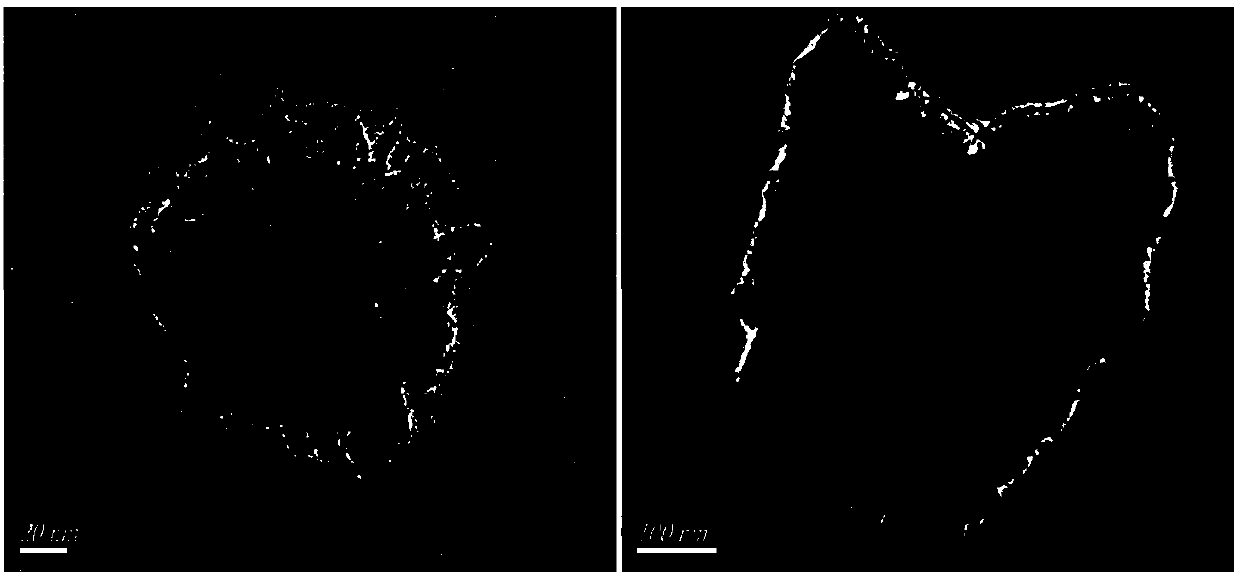 Preparation method and usage of core-core-hull ternary composite material Co3O4/PANI/MnO2