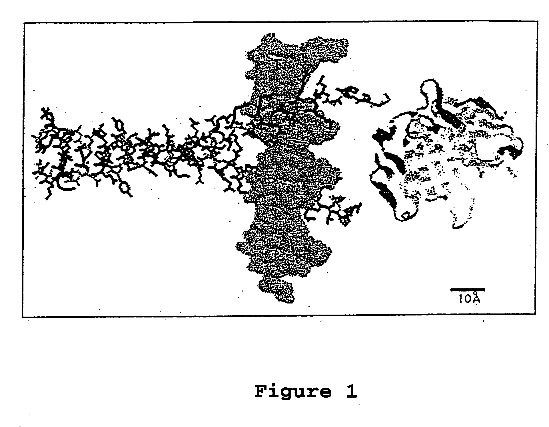 Methods and compositions for modulating transcription factor activity