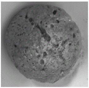 Composite ceramsite prepared from water purification sludge and diatomite