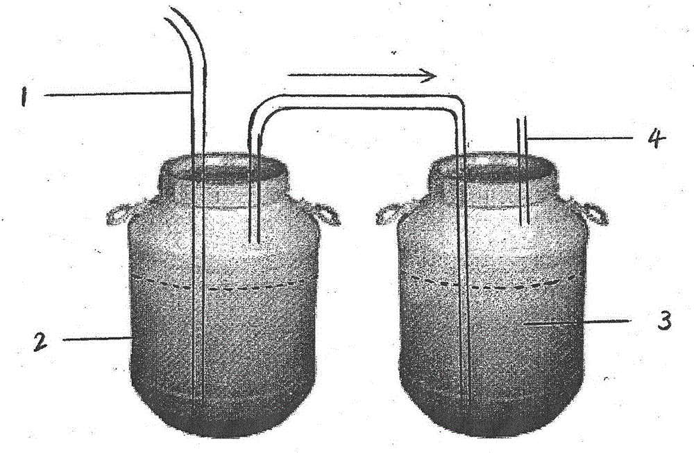 Efficient cultivating and harvesting method for nitzschia closterium