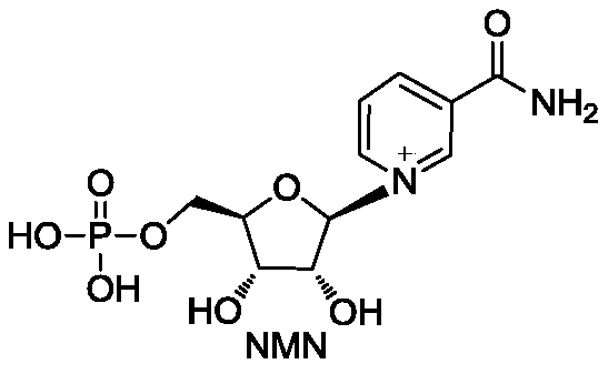 Enzyme composition for preparing nicotinamide mononucleotide and method for preparing nicotinamide mononucleotide by enzymatic process