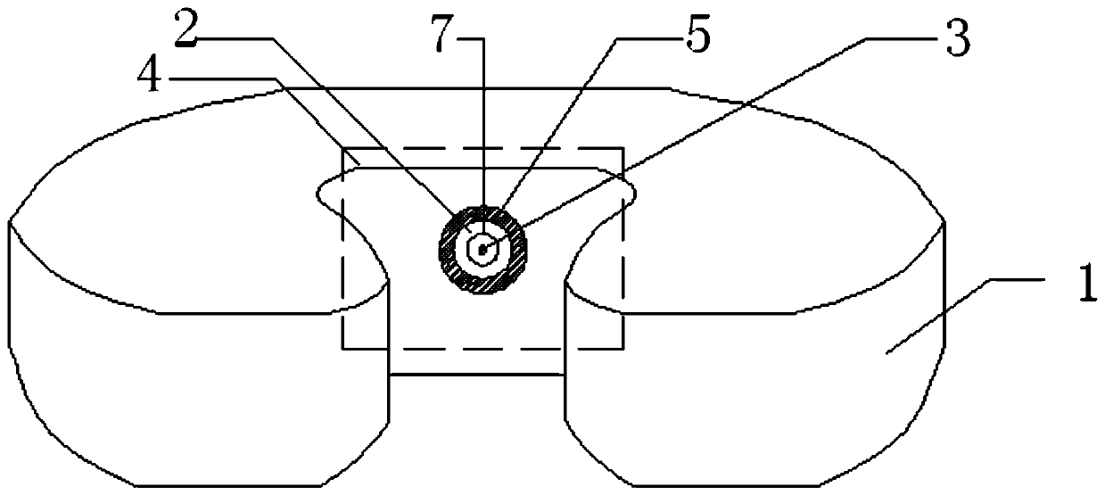 A kind of puncture device and puncture method for foramen magnum