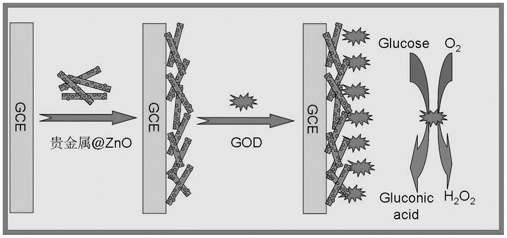 Preparation method of a glucose sensor with noble metal doped zinc oxide nanorods