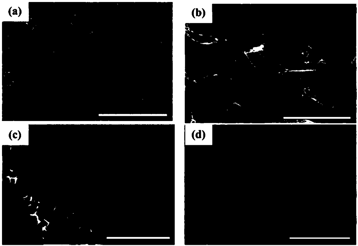 Porous biomass carbon electrode material derived from wheat straws and preparation method thereof