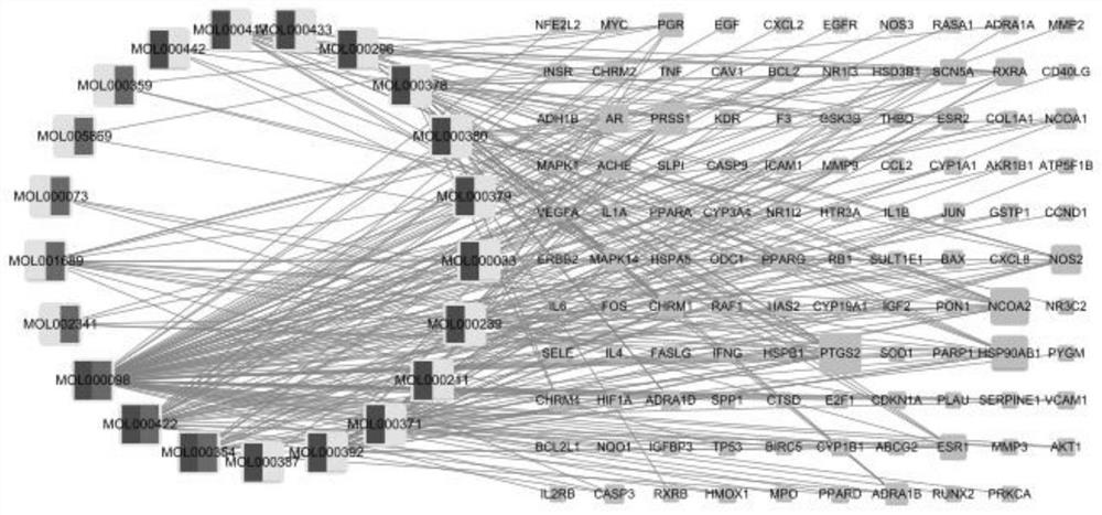 Information analysis method for treating kidney stone through radix astragali-gold mixture, computer equipment and application