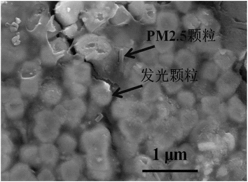 Traceable PM2.5 granular composite material and its preparation method