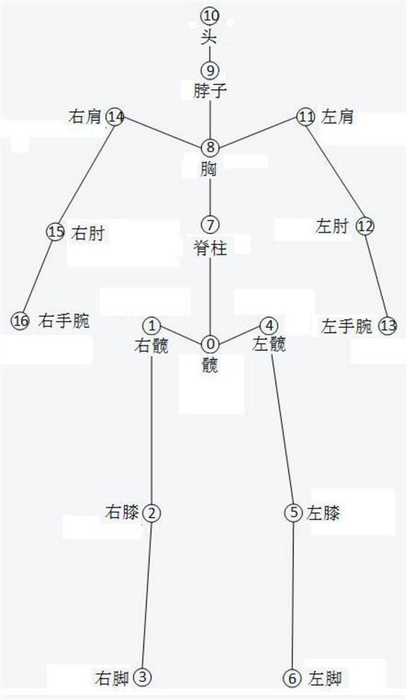 Monocular human body three-dimensional attitude estimation method based on data enhancement architecture