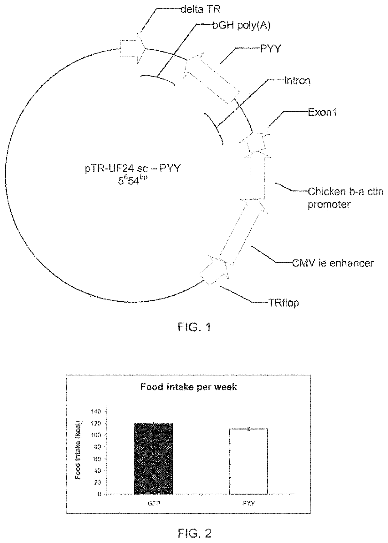 Satiation peptides for weight loss and altered taste sensitivity