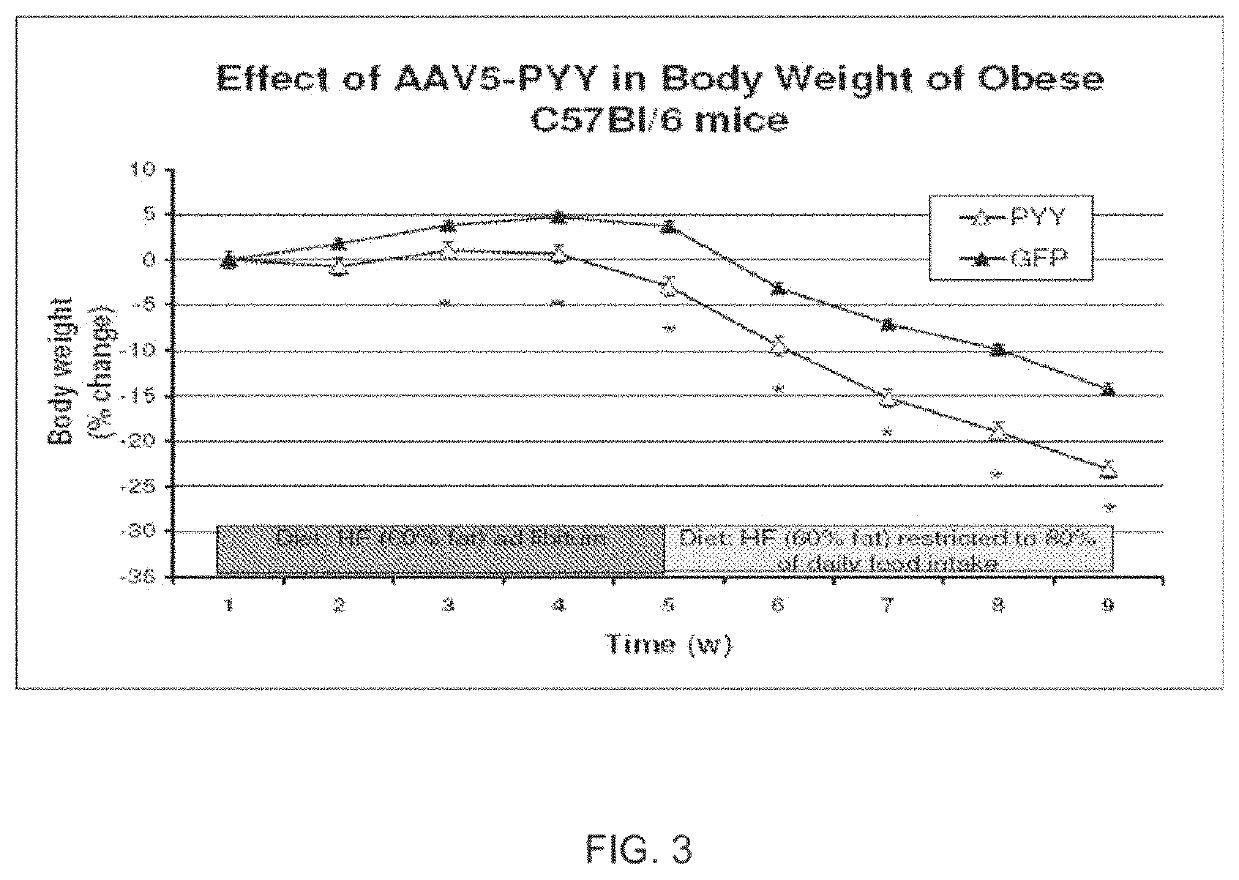 Satiation peptides for weight loss and altered taste sensitivity