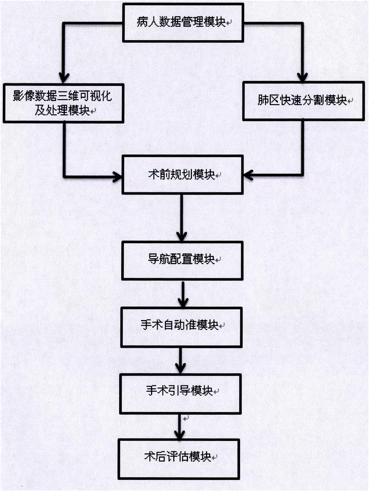 Surgical navigation system for lung puncture