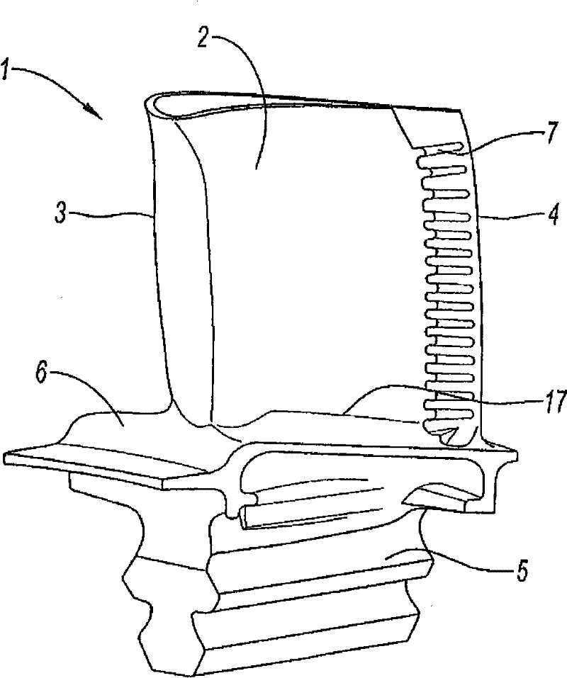 Turbine vane with dusting hole at the base of the blade