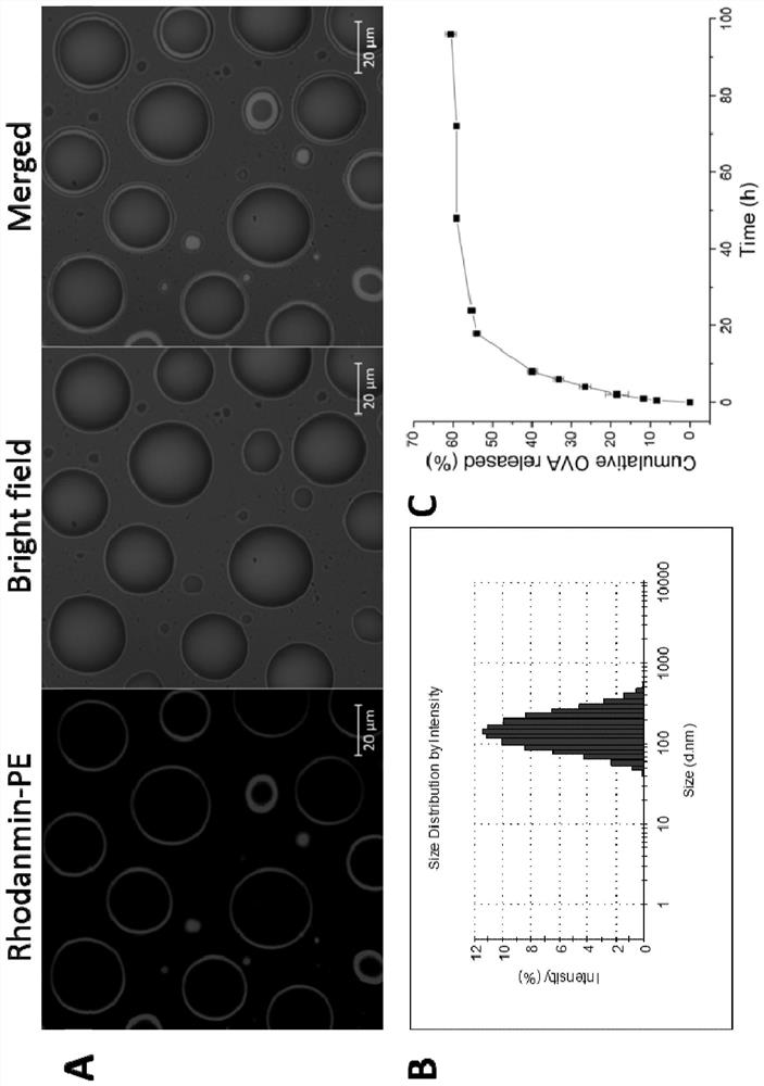 Cationic phospholipid-polymer hybrid nanoparticle vaccine adjuvant co-loading antigen, mpla and imq, preparation method and application