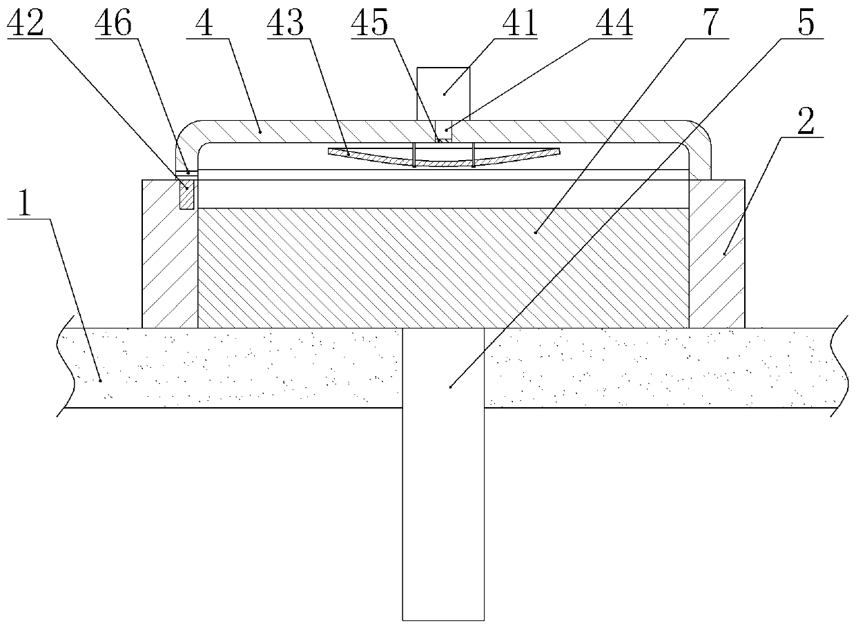 Automatic manufacturing device of blood smear