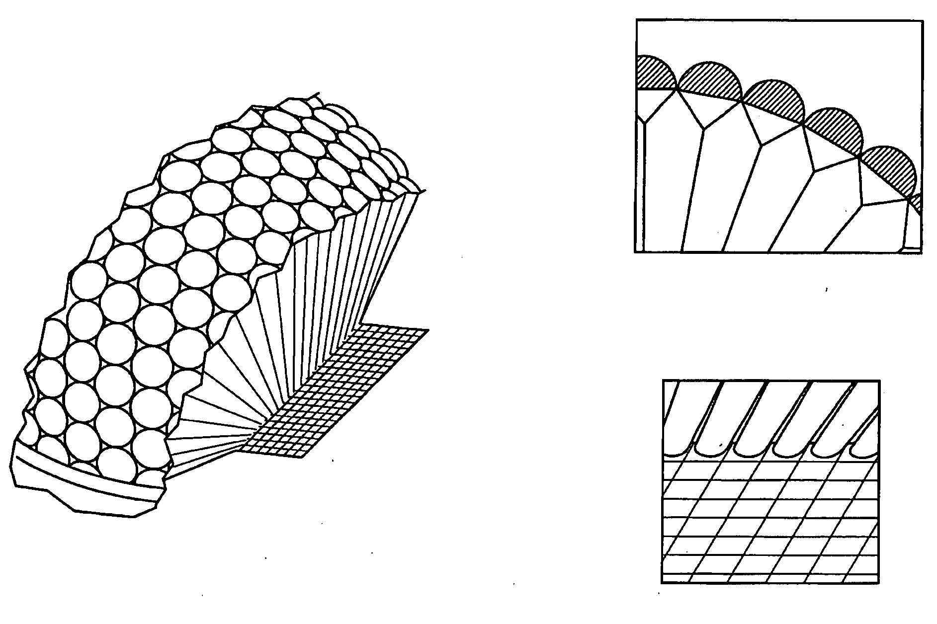 Biomimetic Microfabricated Compound Eyes