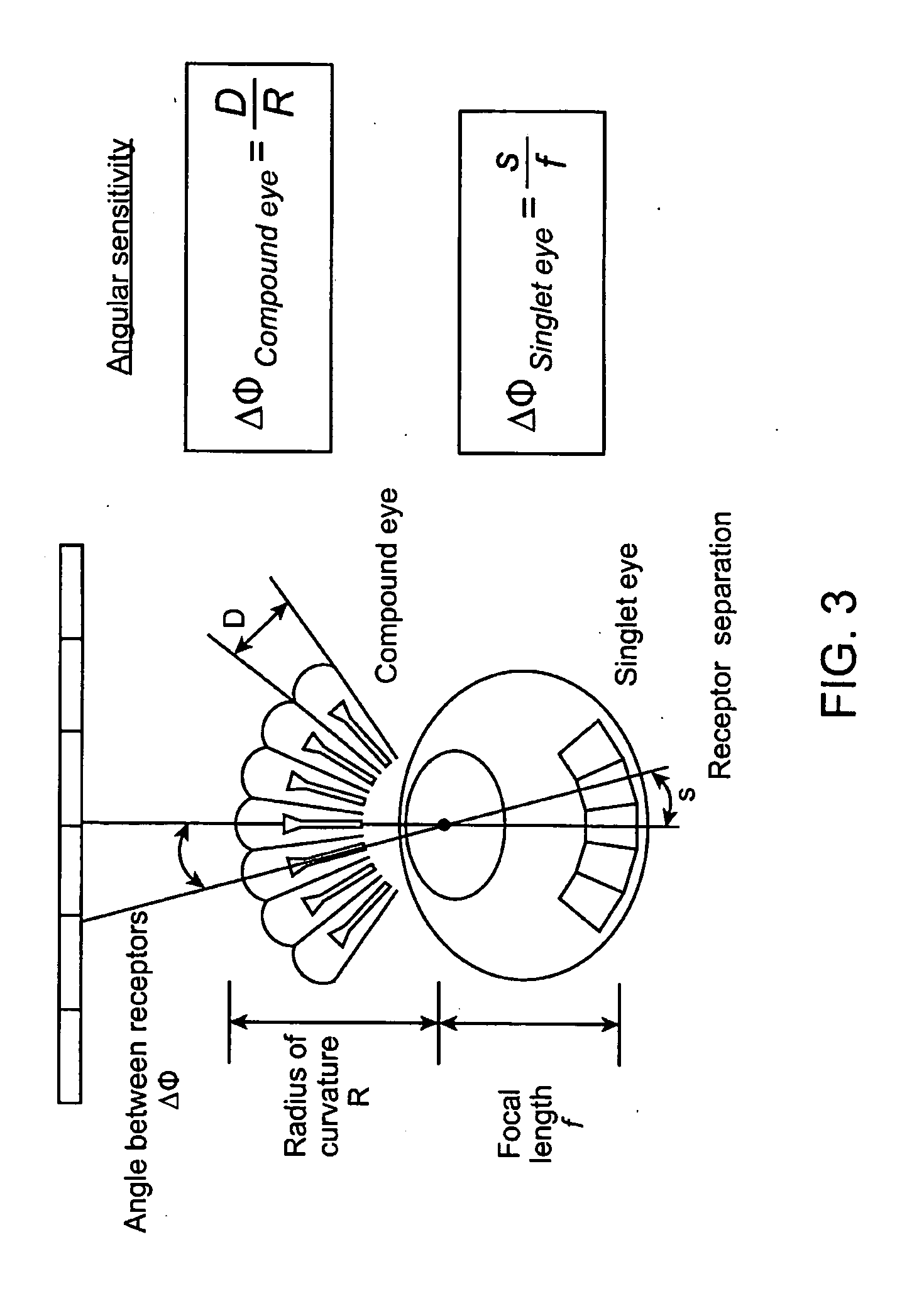 Biomimetic Microfabricated Compound Eyes