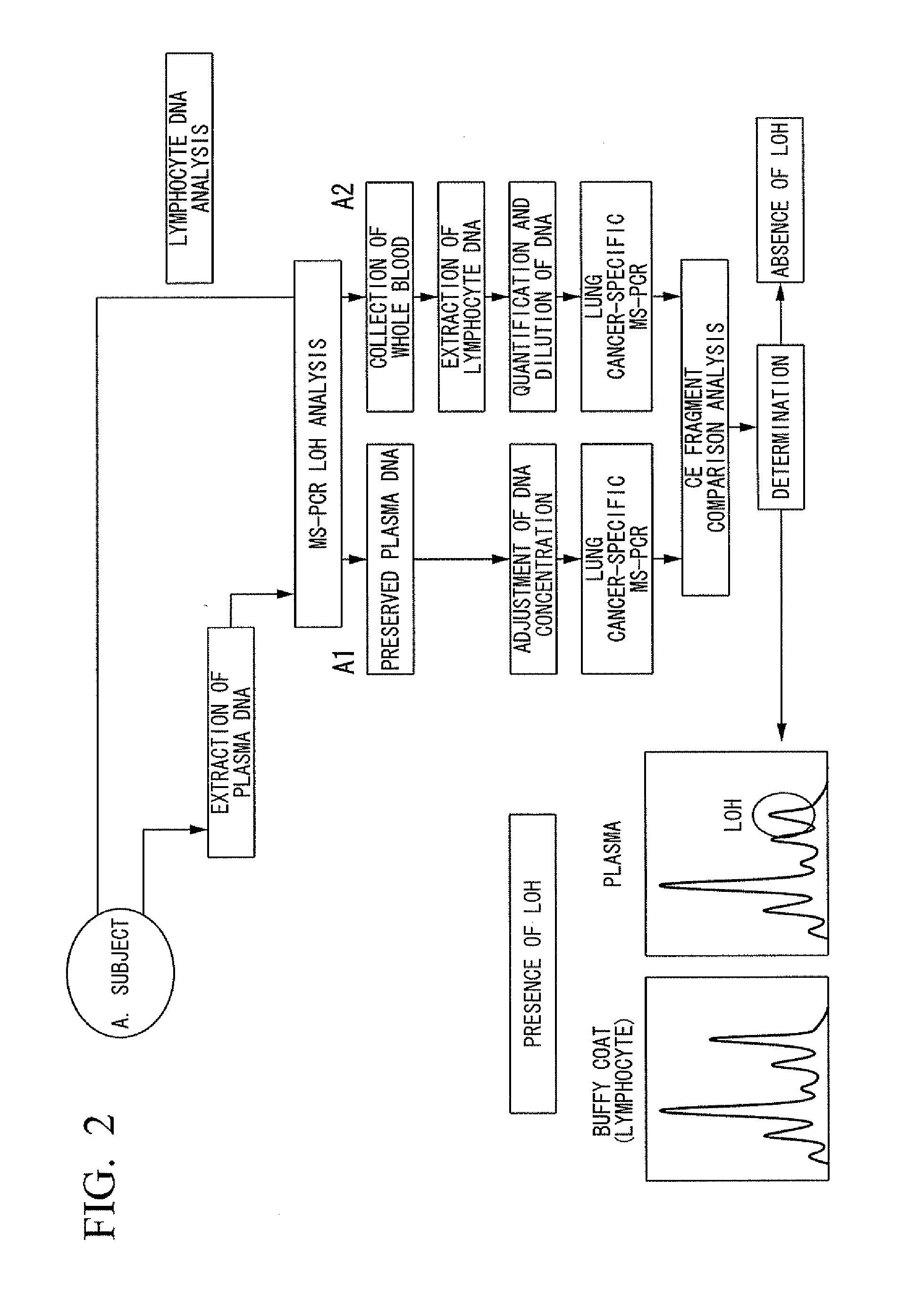 Method for diagnosis of cancer