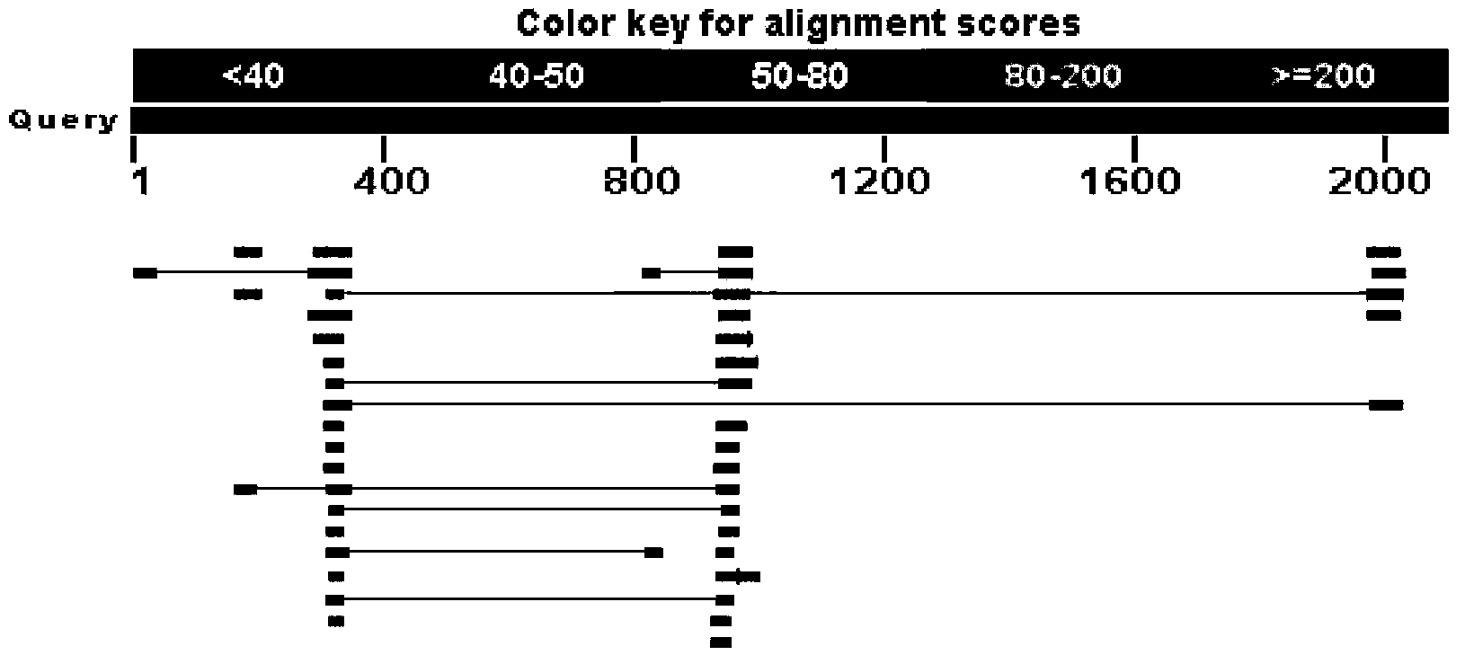 Use of human Down's syndrome DNA sequence in detection on the number of human cells implanted in mouse