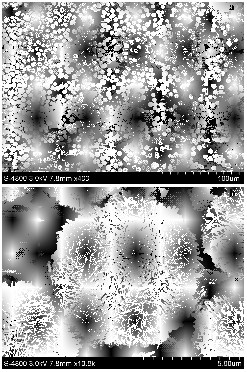 Copper oxide micro-nano composite structural material and preparation method thereof