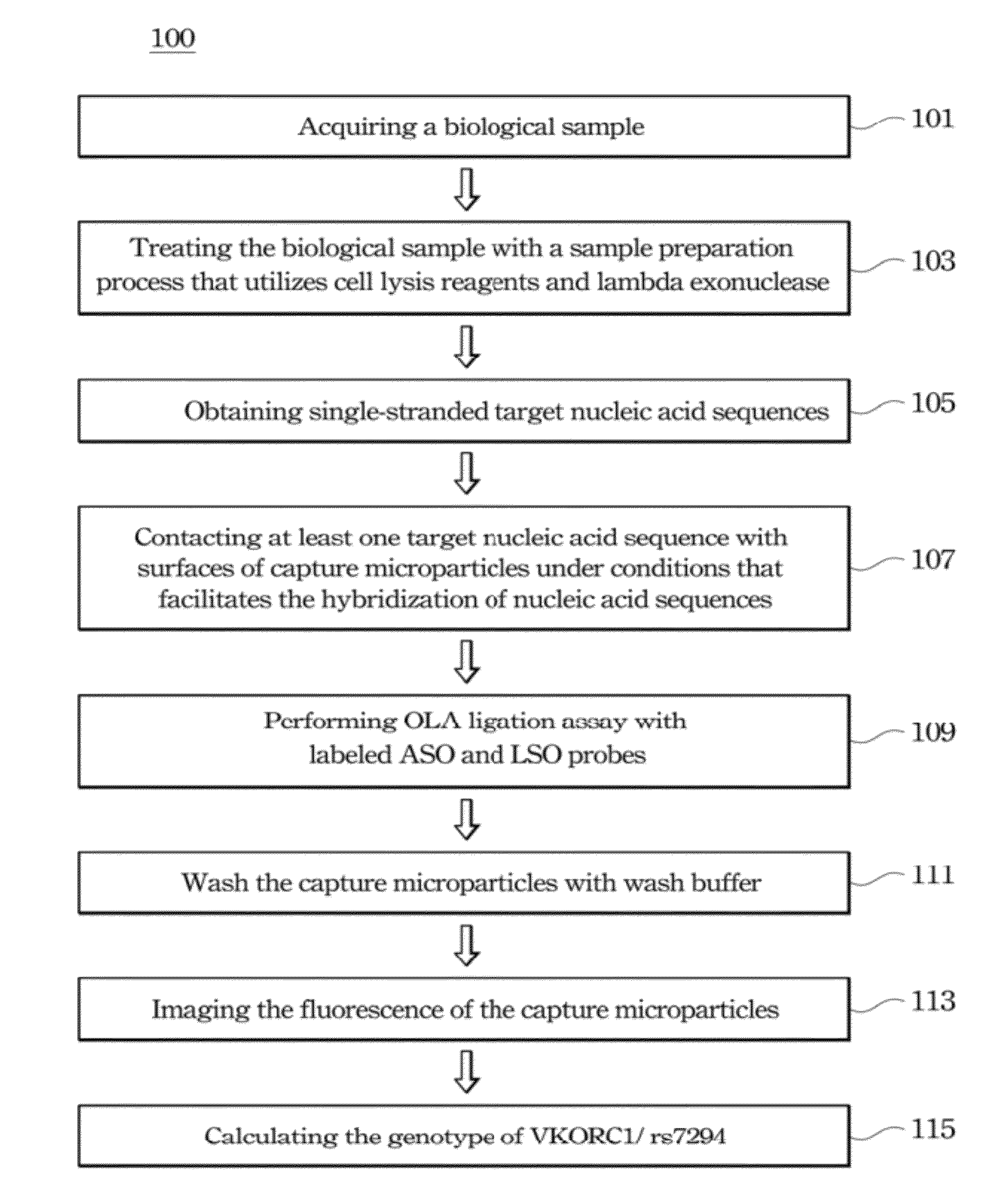 Method of analyzing target nucleic acid of biological samples