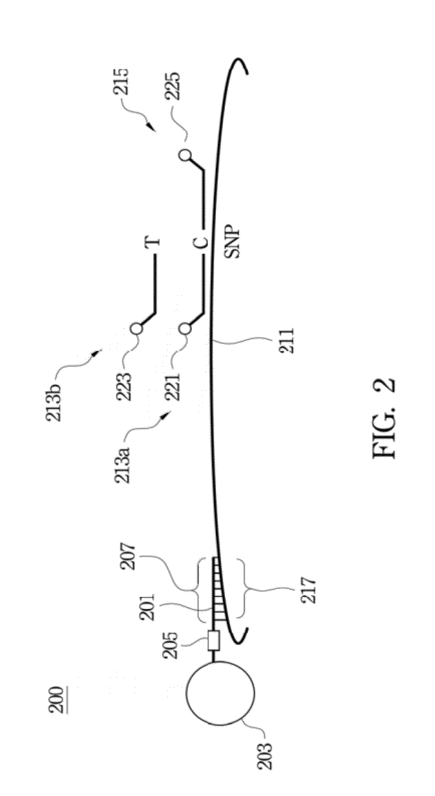 Method of analyzing target nucleic acid of biological samples