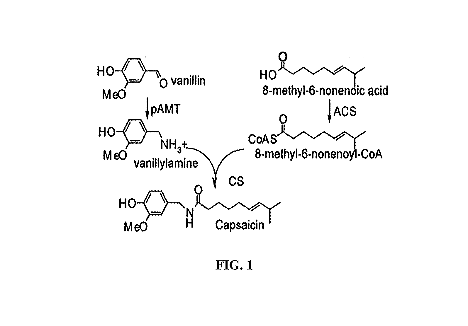 Methods of using acyl-coa synthetase for biosynthetic production of acyl-coas