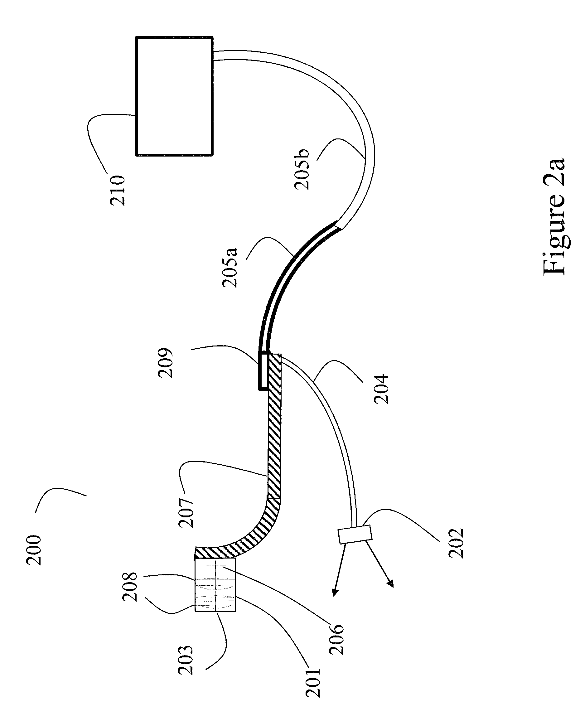 Disposable endoscopic access device and portable display