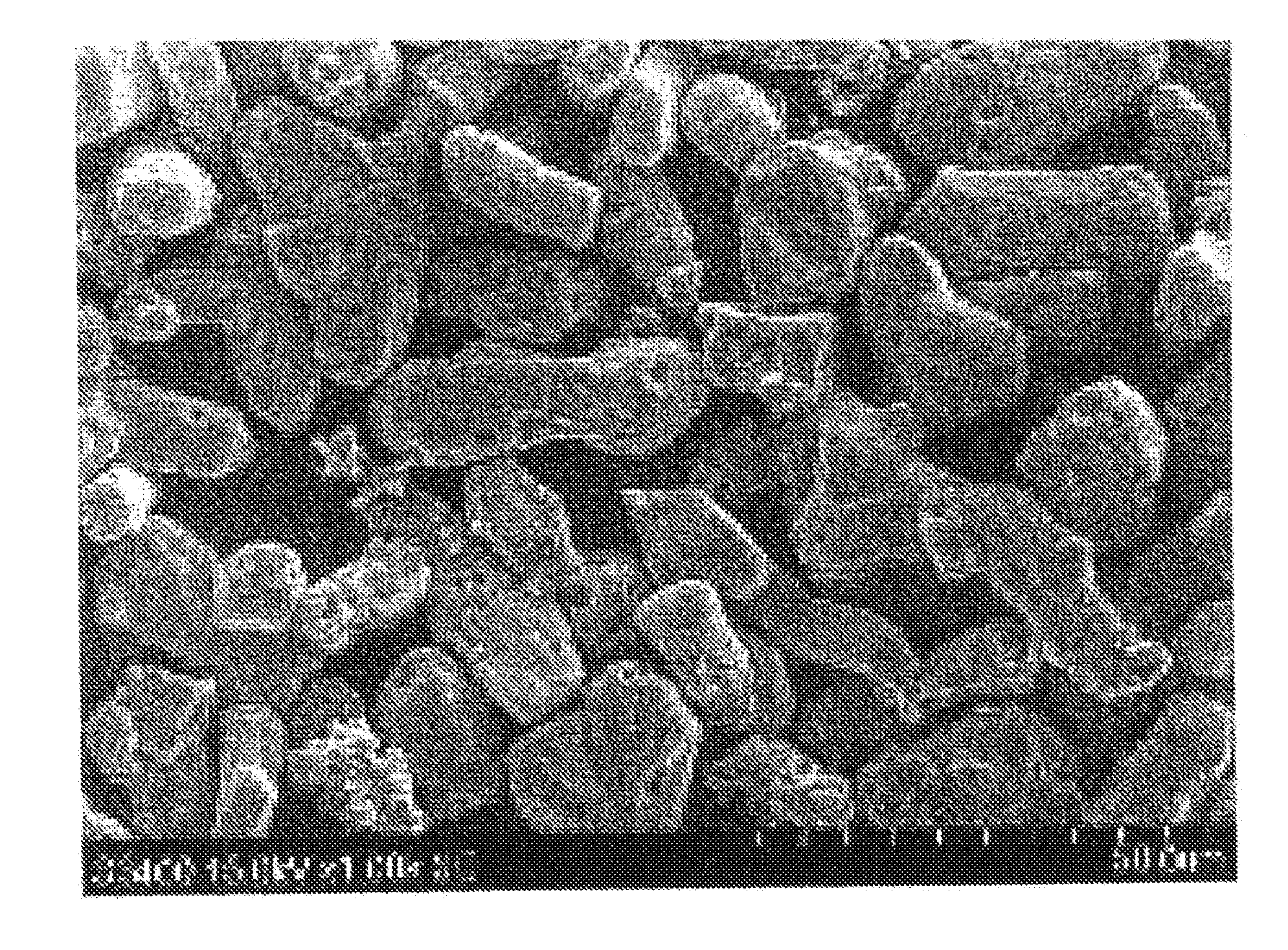 Nitride phosphor and method for producing the same