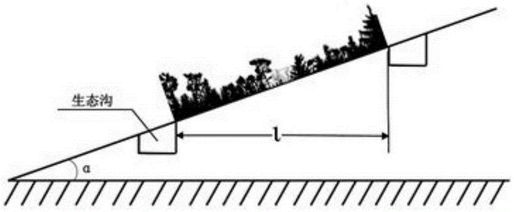 Method using ecological trench to intercept forest surface runoff