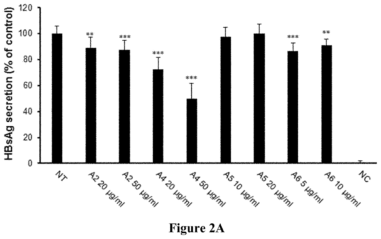 Method and composition for inhibiting virus infection